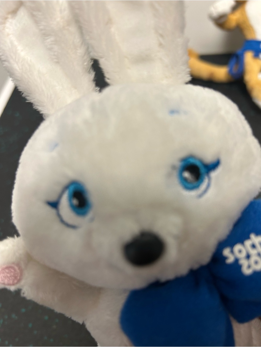 Sochi 2014 Winter Olympic Mascots-The Leopard and the Hare - Picture 10 of 12